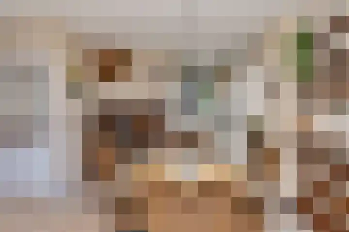Amaryllislaan 50 Hoogkarspel thumbnail 14
