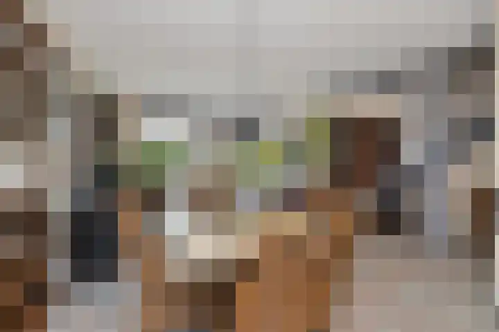 Amaryllislaan 50 Hoogkarspel thumbnail 15
