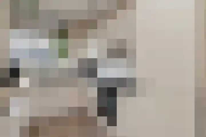 Amaryllislaan 50 Hoogkarspel thumbnail 18