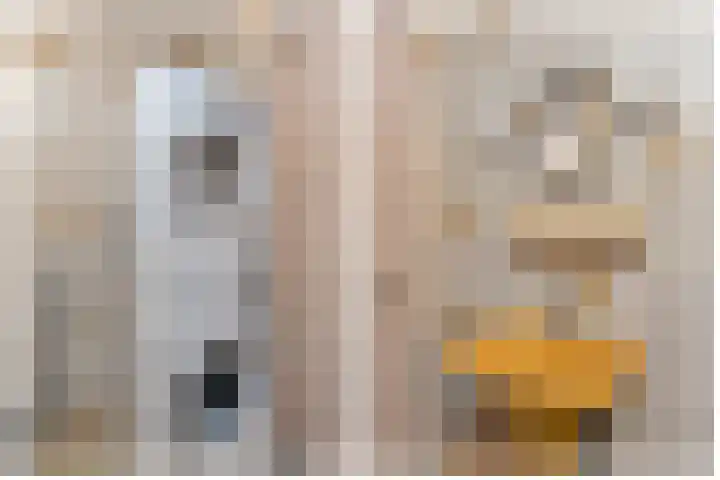 Amaryllislaan 50 Hoogkarspel thumbnail 24