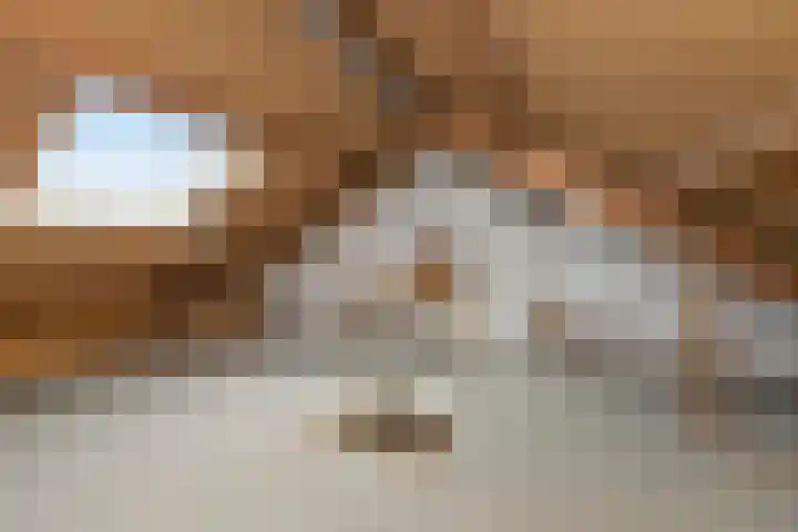 Amaryllislaan 50 Hoogkarspel thumbnail 34