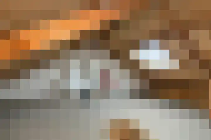 Amaryllislaan 50 Hoogkarspel thumbnail 36