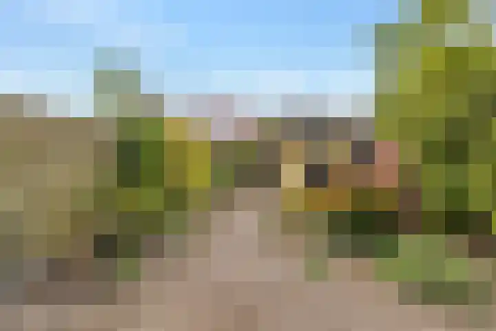 Amaryllislaan 50 Hoogkarspel thumbnail 38