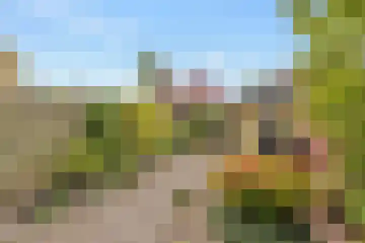 Amaryllislaan 50 Hoogkarspel thumbnail 39