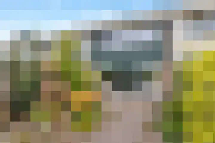 Amaryllislaan 50 Hoogkarspel thumbnail 42