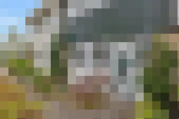 Amaryllislaan 50 Hoogkarspel thumbnail 51