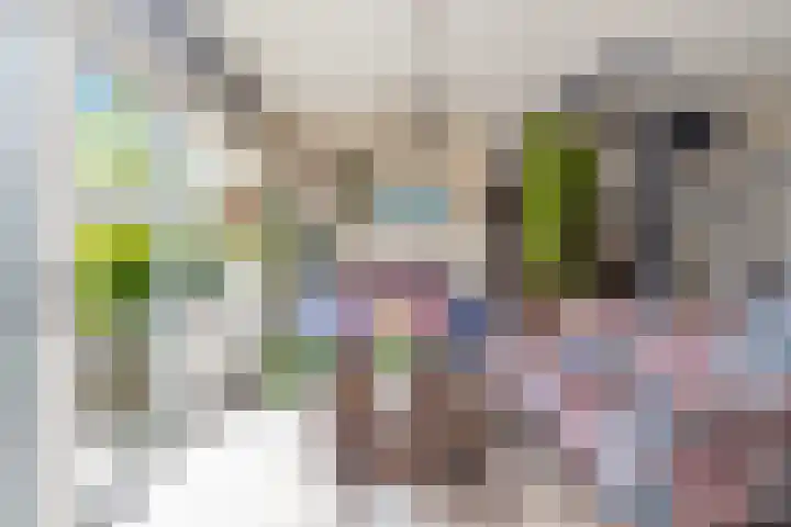Amaryllislaan 50 Hoogkarspel thumbnail 9