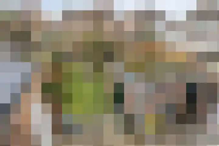 Amaryllisstraat 4 Steenbergen thumbnail 29