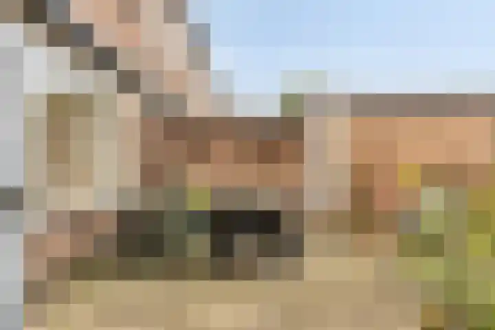 Amaryllisstraat 4 Steenbergen thumbnail 31