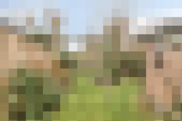 Amaryllisstraat 4 Steenbergen thumbnail 32