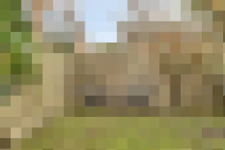 Amaryllisstraat 4 Steenbergen thumbnail 33