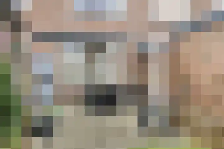 Amaryllisstraat 4 Steenbergen thumbnail 35