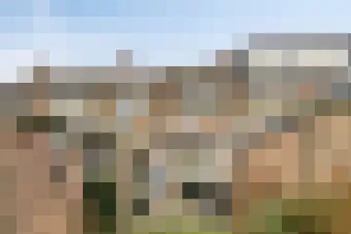 Amaryllisstraat 4 Steenbergen thumbnail 37