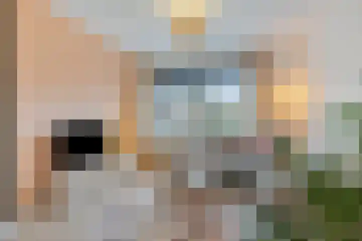 Amaryllisstraat 4 Steenbergen thumbnail 4