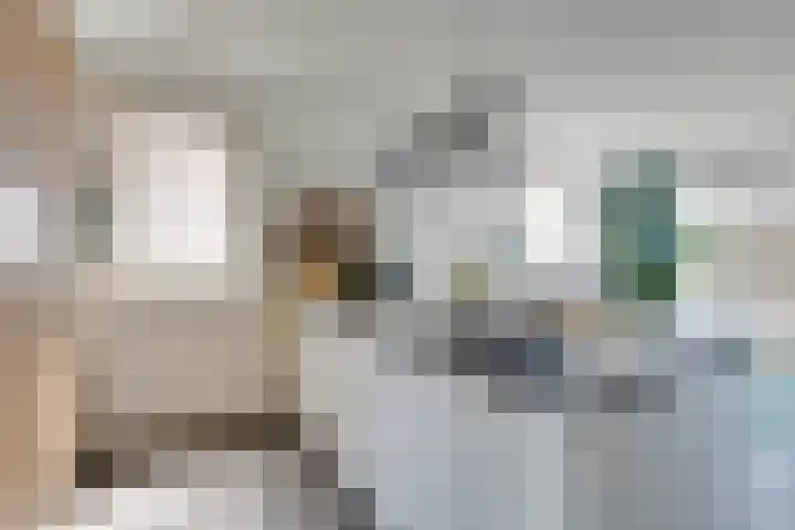 Amaterasuhof 1 Almere thumbnail 11
