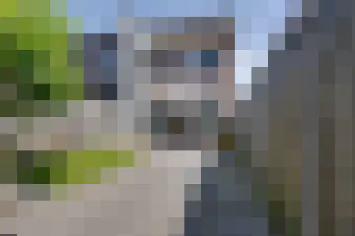 Amaterasuhof 1 Almere thumbnail 16