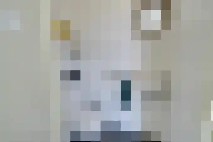 Amaterasuhof 1 Almere thumbnail 17