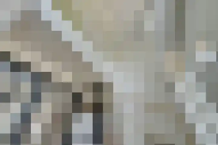 Amaterasuhof 1 Almere thumbnail 18