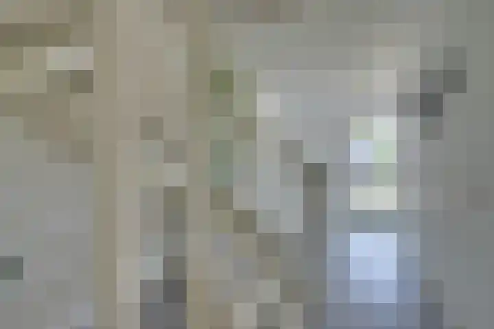 Amaterasuhof 1 Almere thumbnail 21