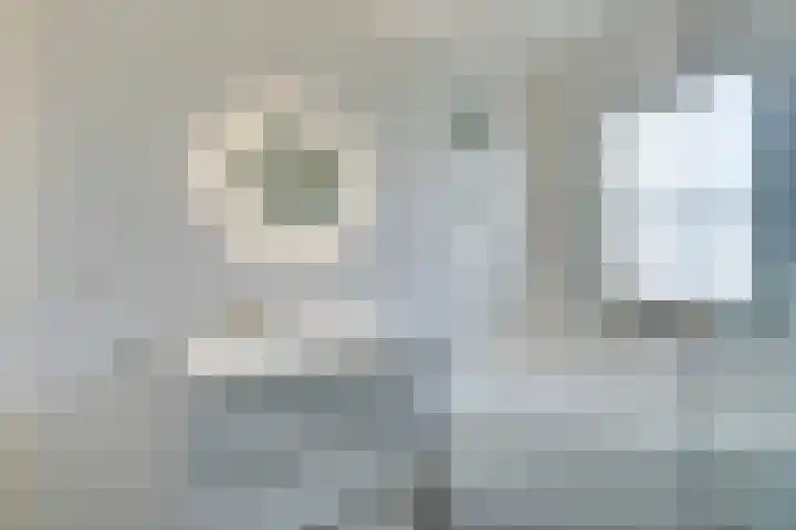 Amaterasuhof 1 Almere thumbnail 27