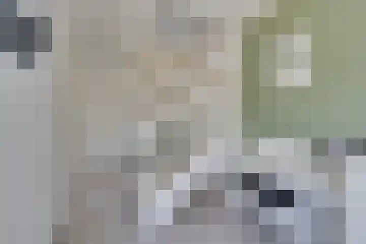 Amaterasuhof 1 Almere thumbnail 28