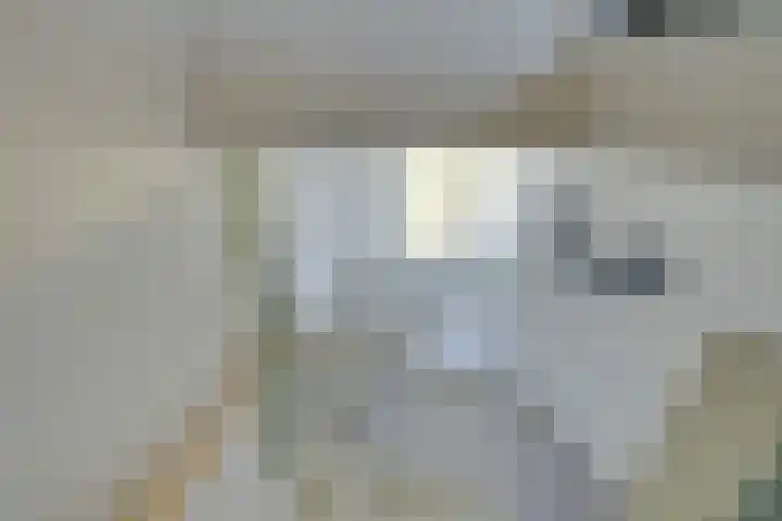 Amaterasuhof 1 Almere thumbnail 29