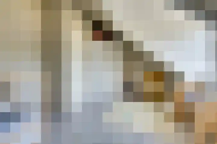 Amaterasuhof 1 Almere thumbnail 31