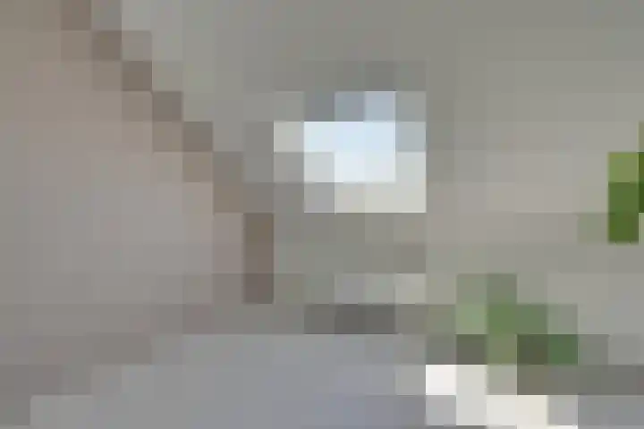 Amaterasuhof 1 Almere thumbnail 32
