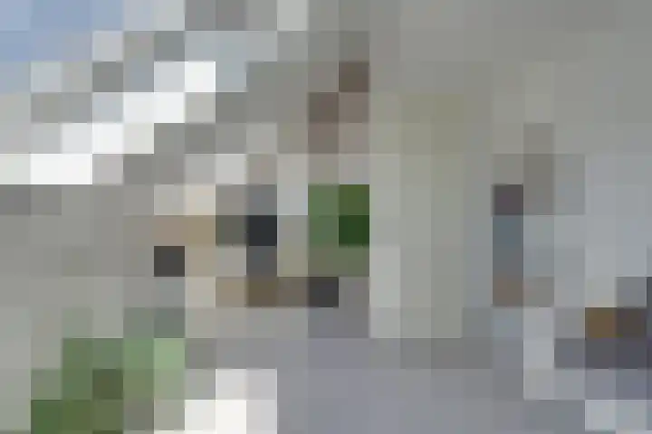 Amaterasuhof 1 Almere thumbnail 33