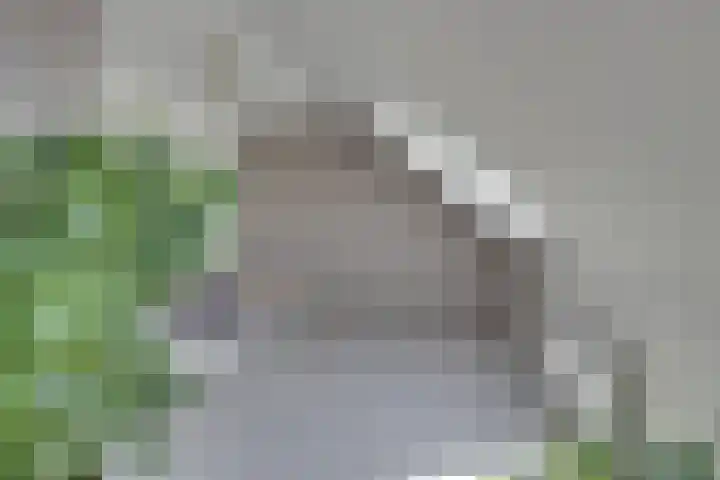 Amaterasuhof 1 Almere thumbnail 34