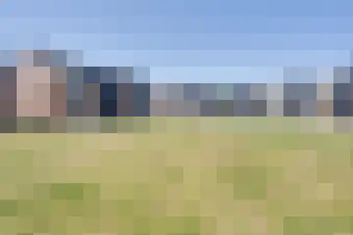 Amaterasuhof 1 Almere thumbnail 39