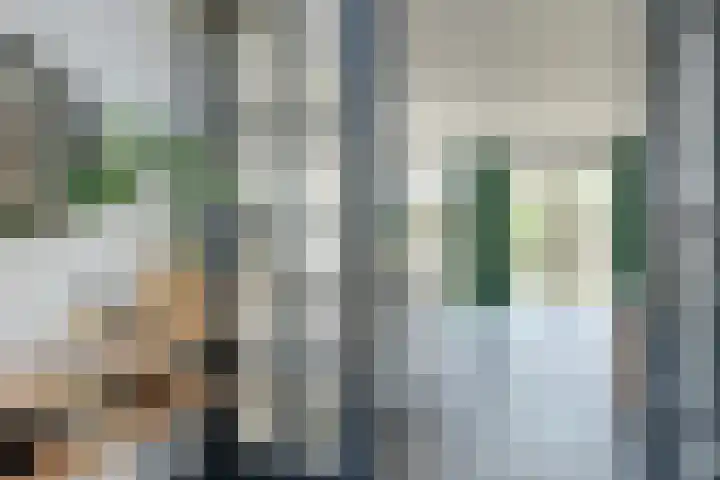 Amaterasuhof 1 Almere thumbnail 6