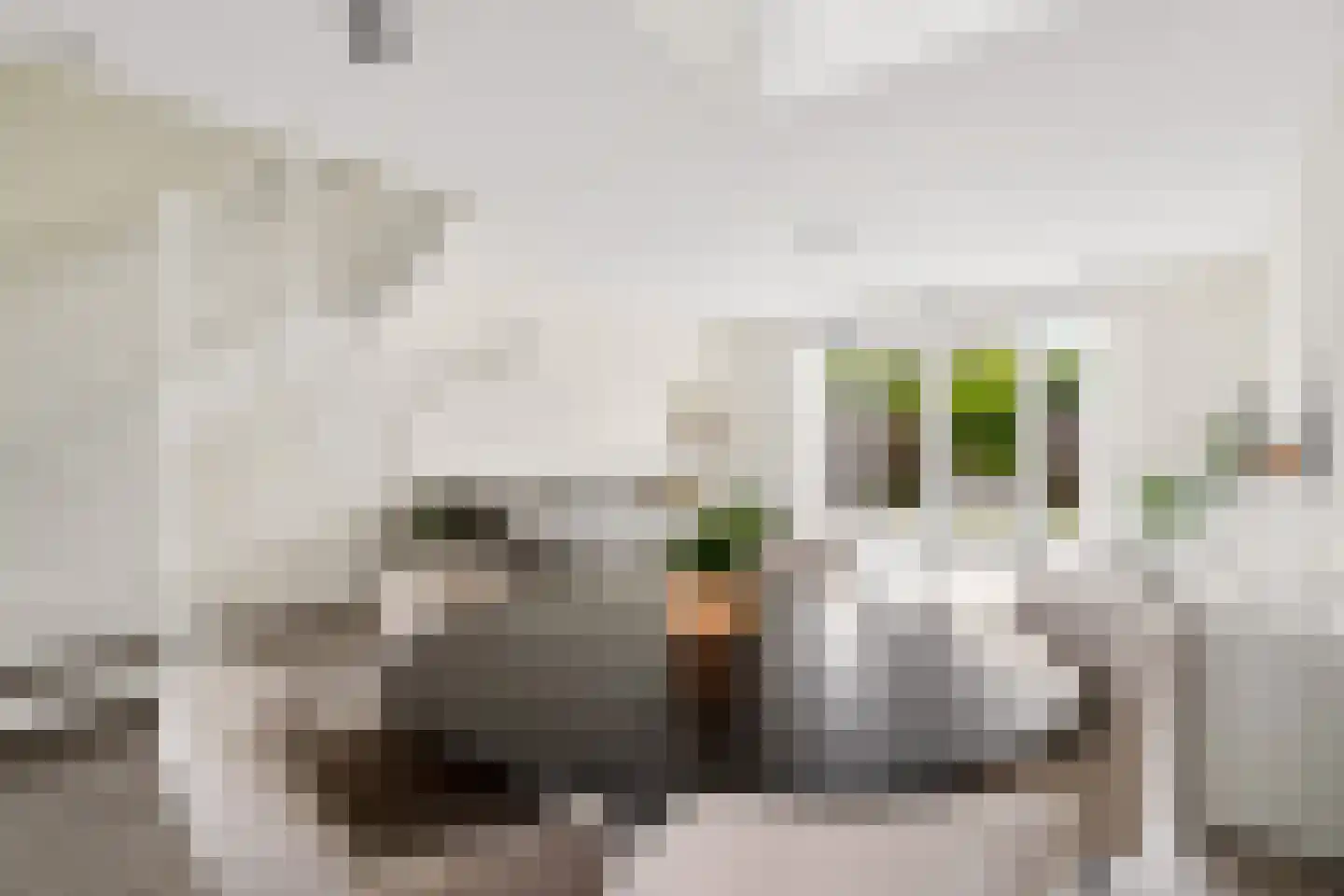 Amaterasuhof 32 Almere thumbnail 11