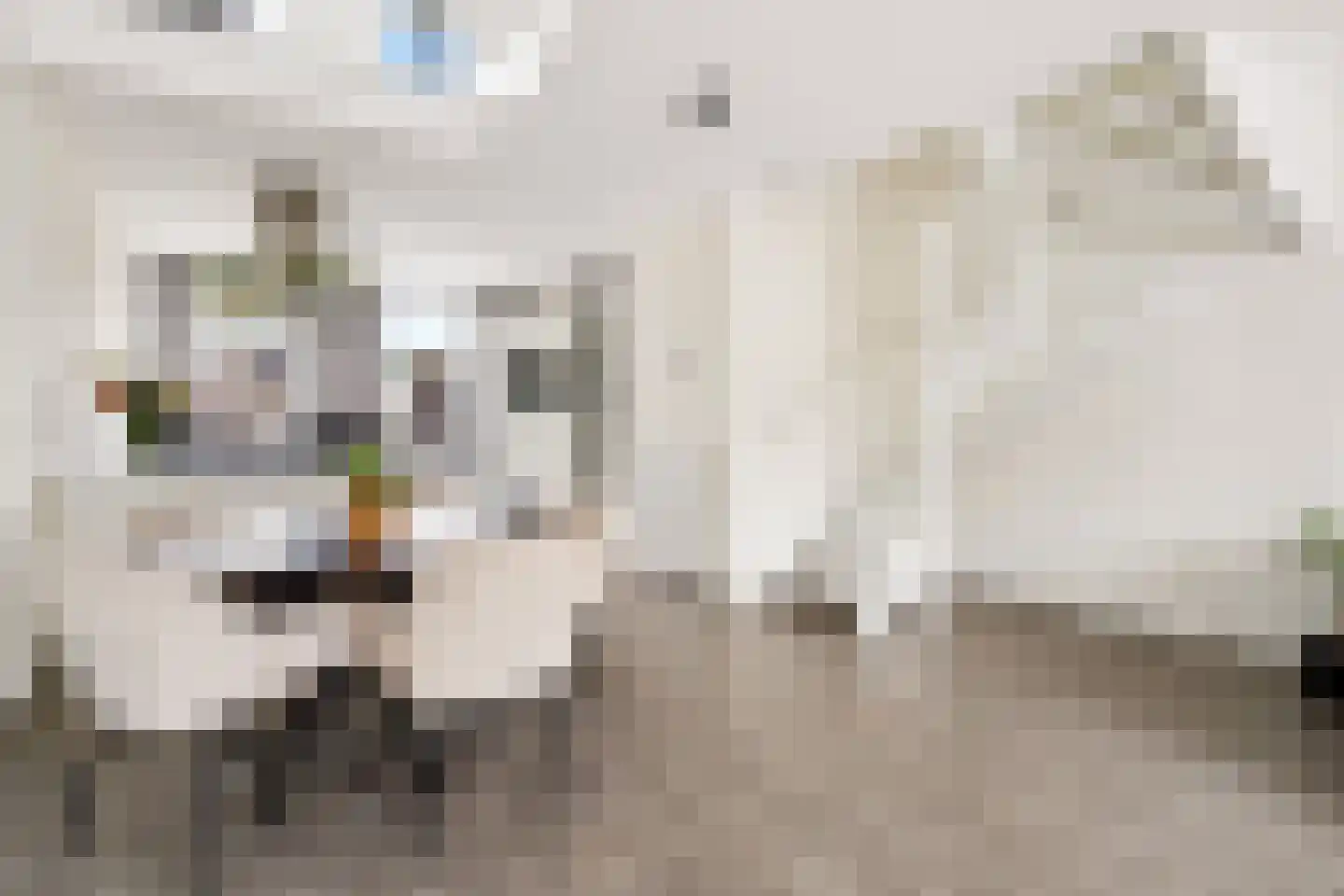 Amaterasuhof 32 Almere thumbnail 25