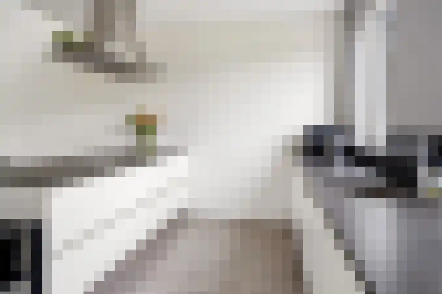 Amaterasuhof 32 Almere thumbnail 27