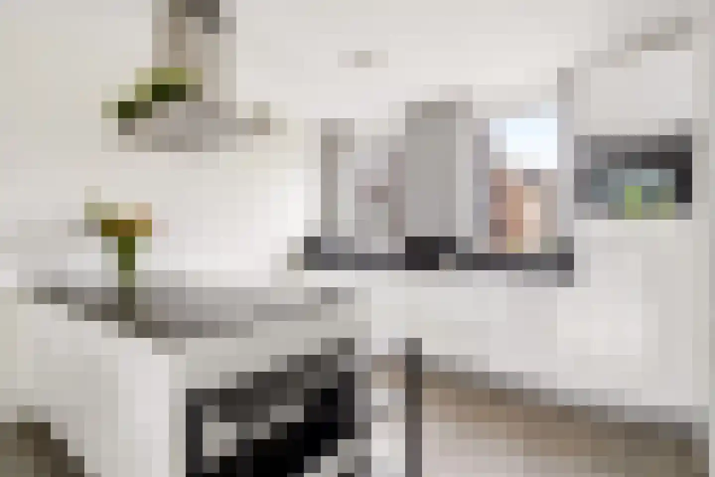 Amaterasuhof 32 Almere thumbnail 28
