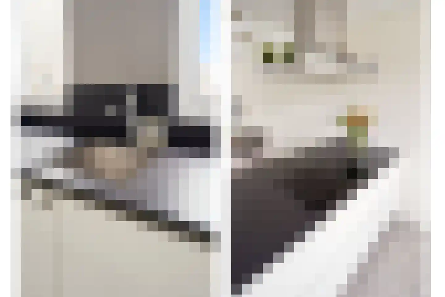 Amaterasuhof 32 Almere thumbnail 32
