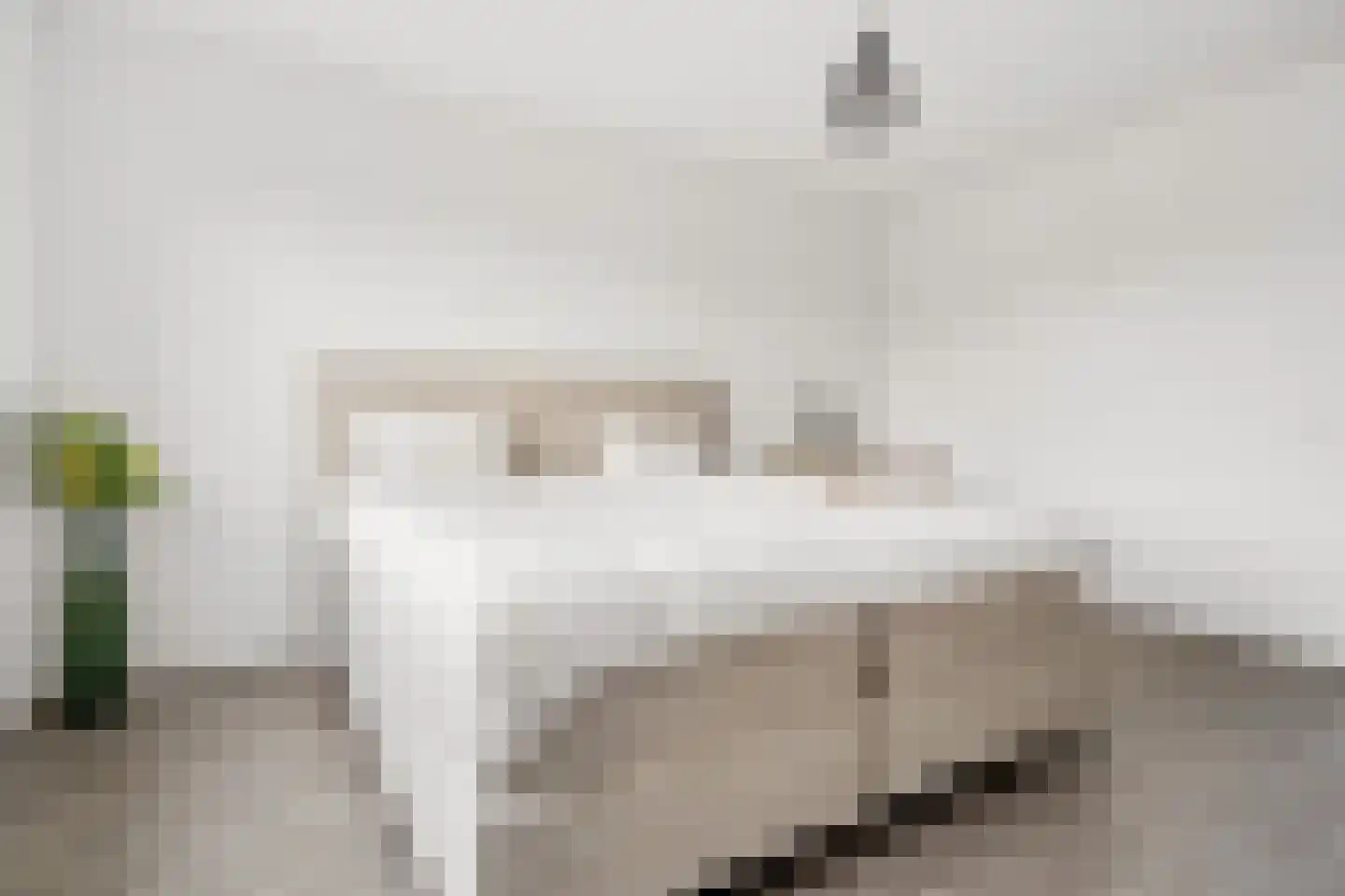 Amaterasuhof 32 Almere thumbnail 42