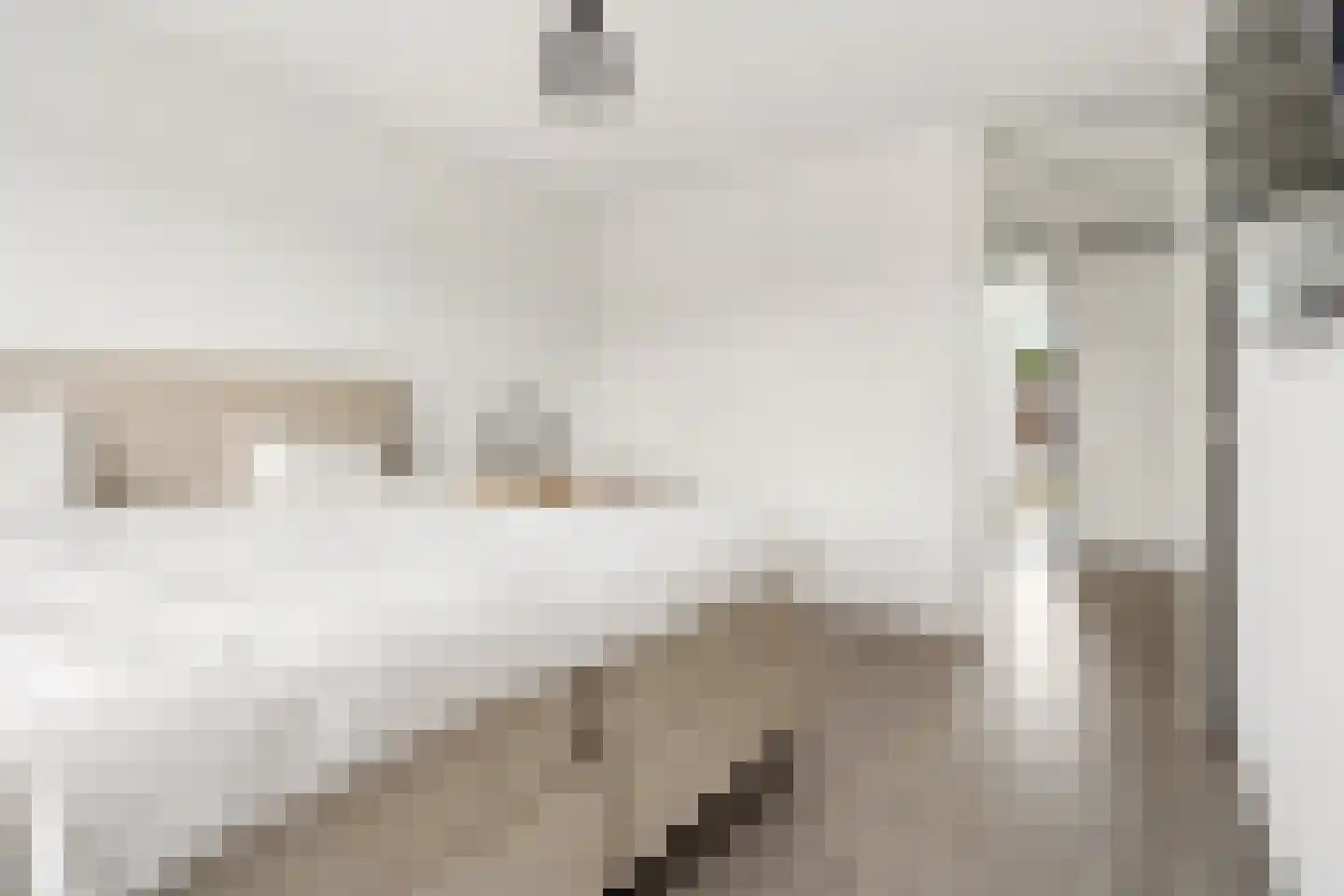 Amaterasuhof 32 Almere thumbnail 46