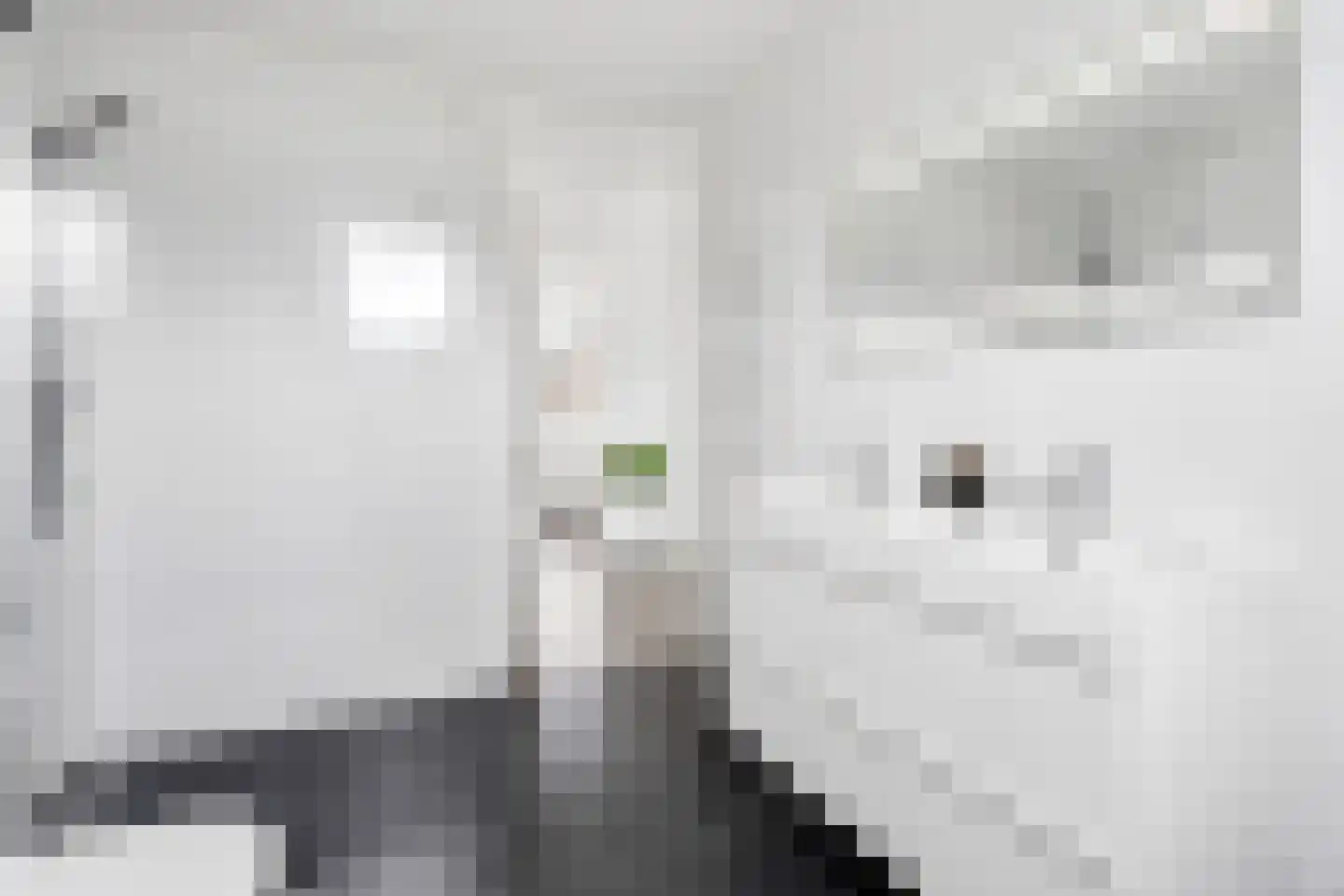 Amaterasuhof 32 Almere thumbnail 48