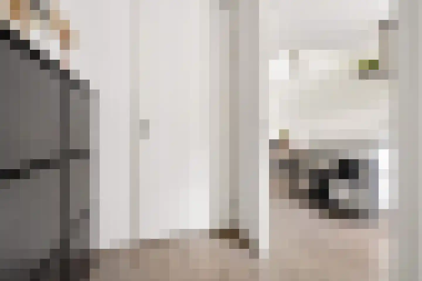 Amaterasuhof 32 Almere thumbnail 9