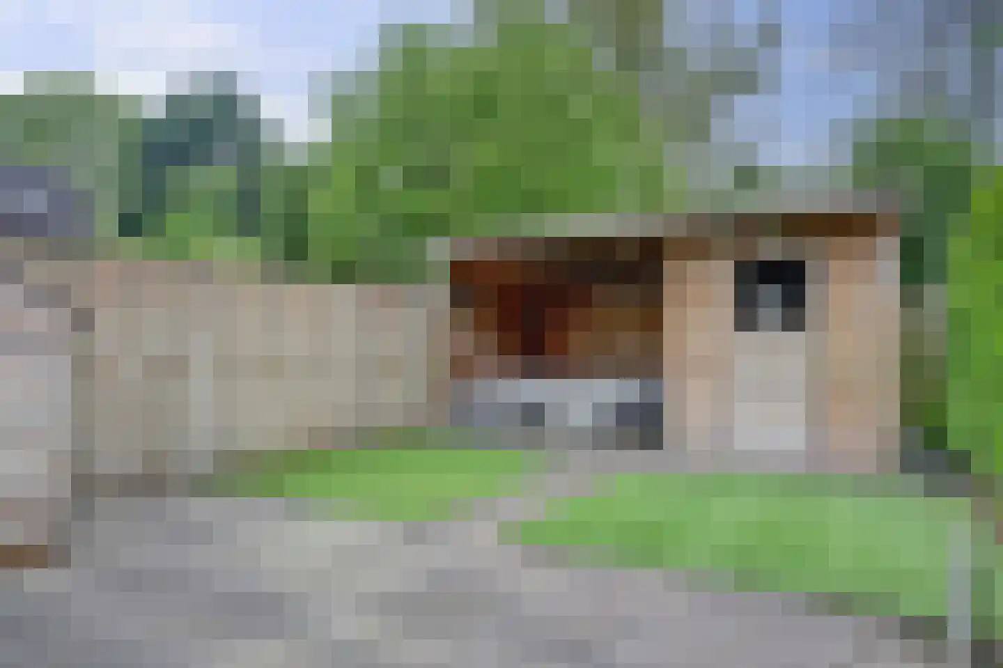 Amatist 85 Heerhugowaard thumbnail 15