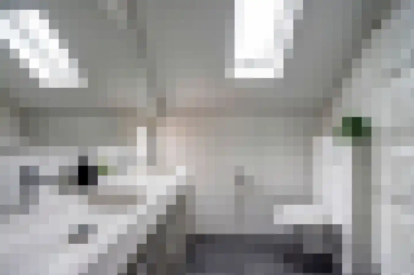 Amatist 85 Heerhugowaard thumbnail 27