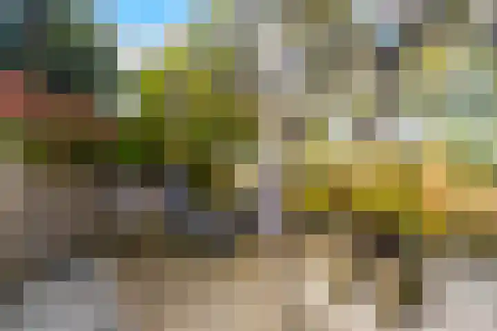 Amazone 178 Dordrecht thumbnail 36