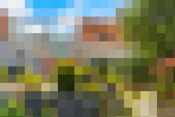 Amazone 178 Dordrecht thumbnail 39