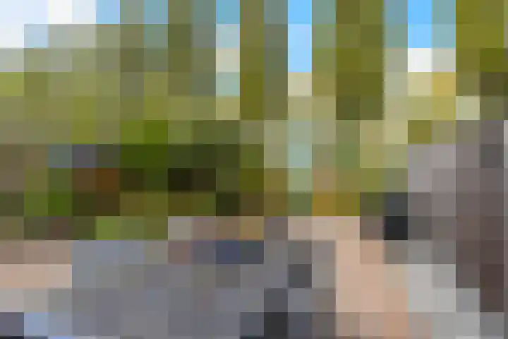 Amazone 178 Dordrecht thumbnail 4