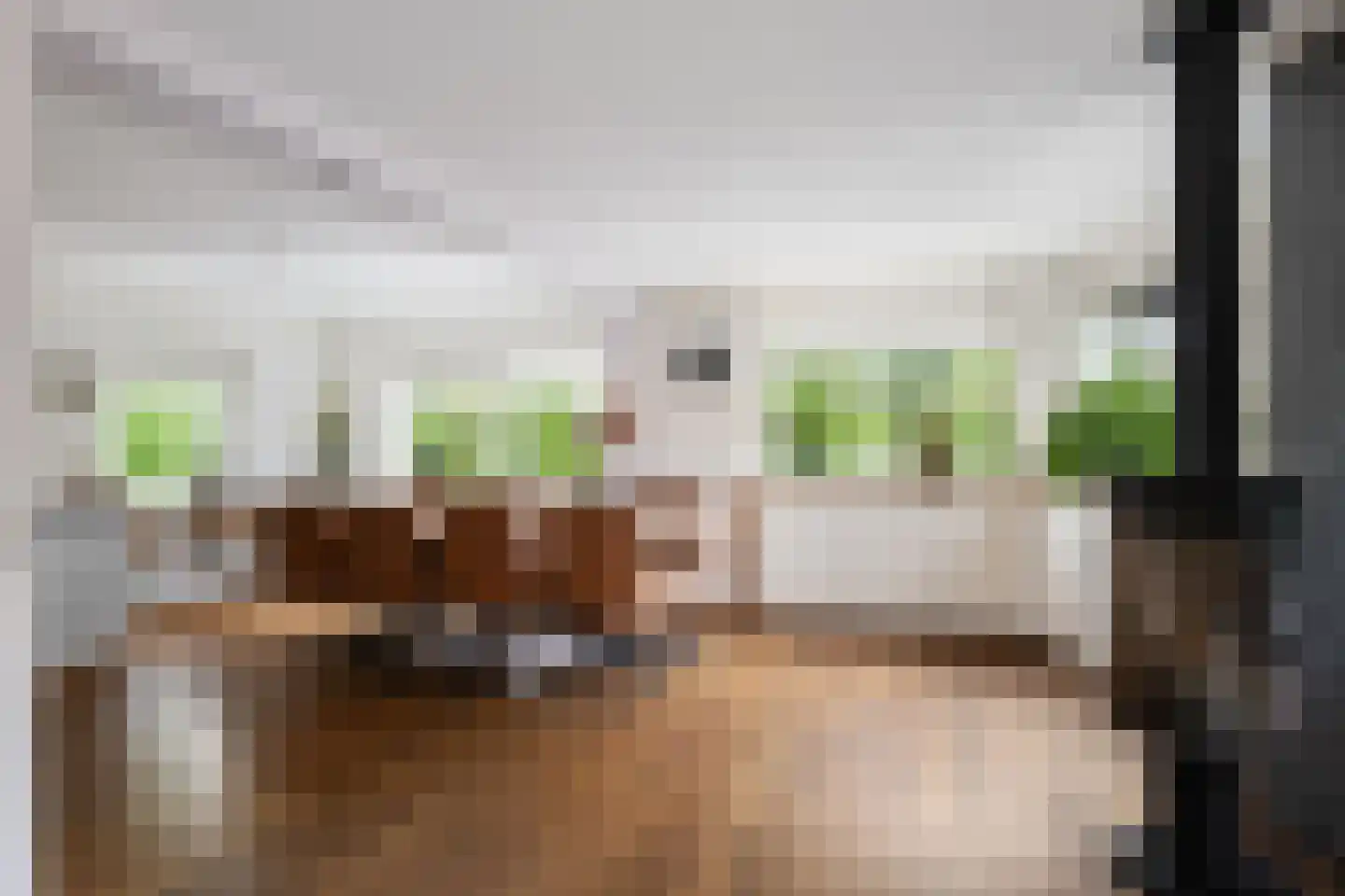 Amazone 199 Dordrecht thumbnail 11
