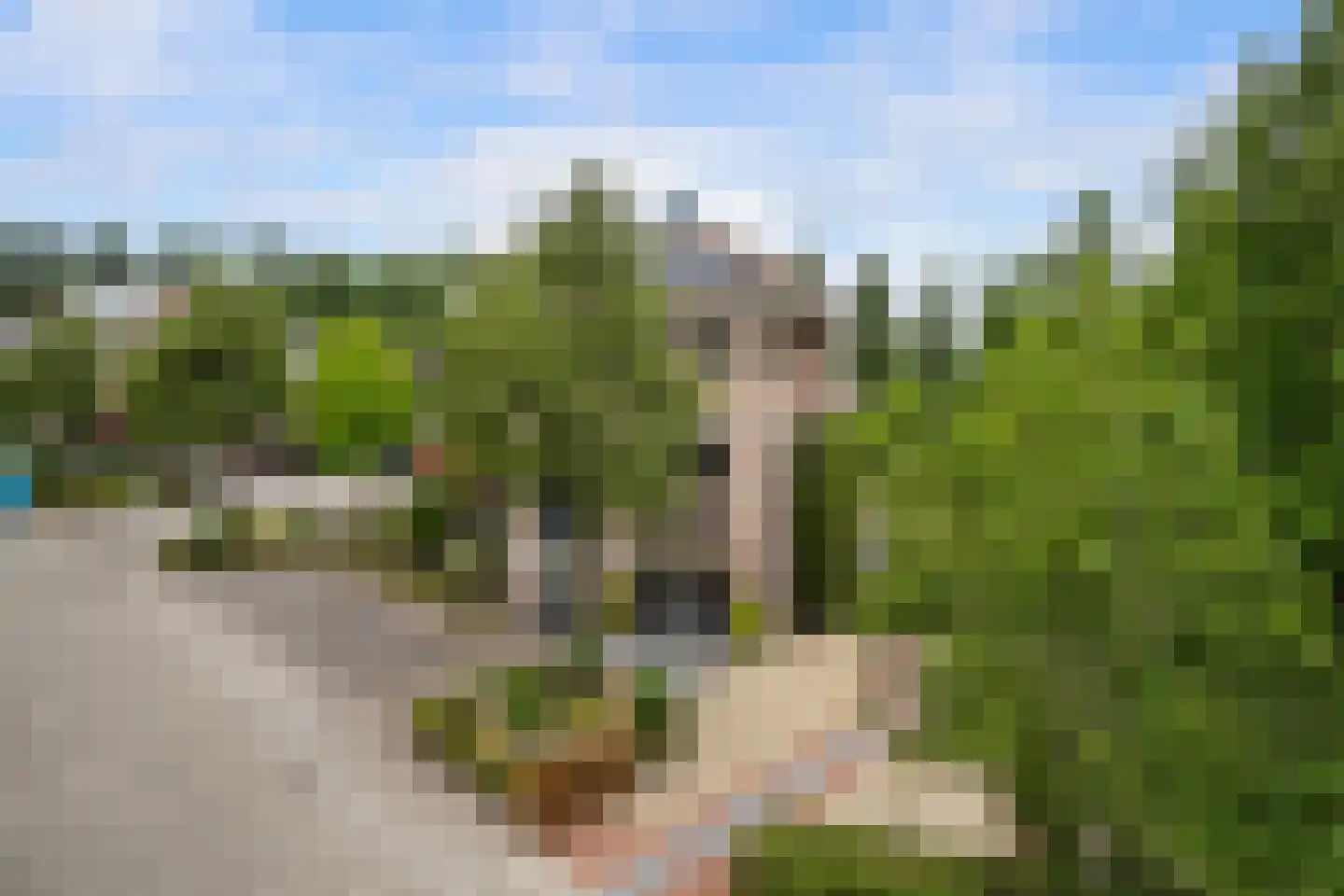 Amazone 199 Dordrecht thumbnail 6