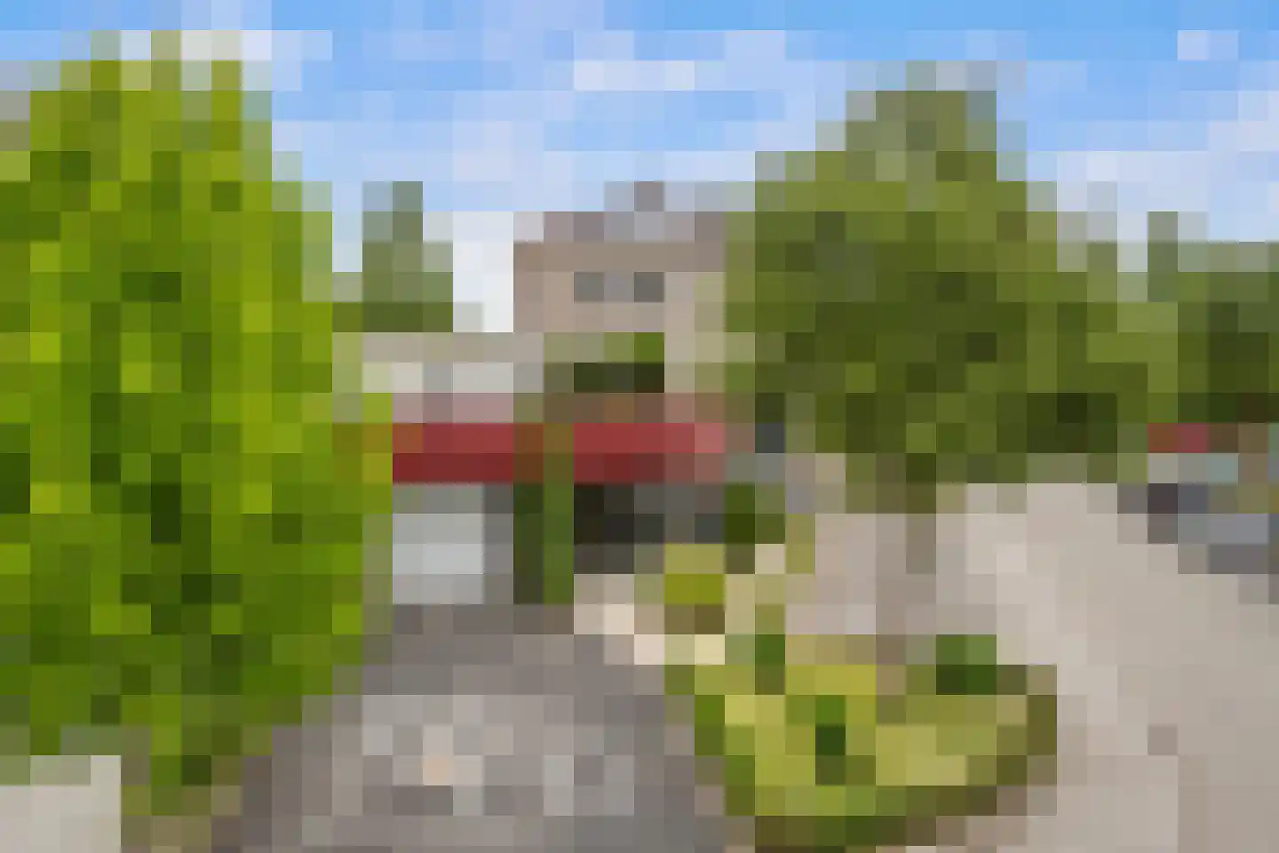 Amazone 199 Dordrecht thumbnail 69
