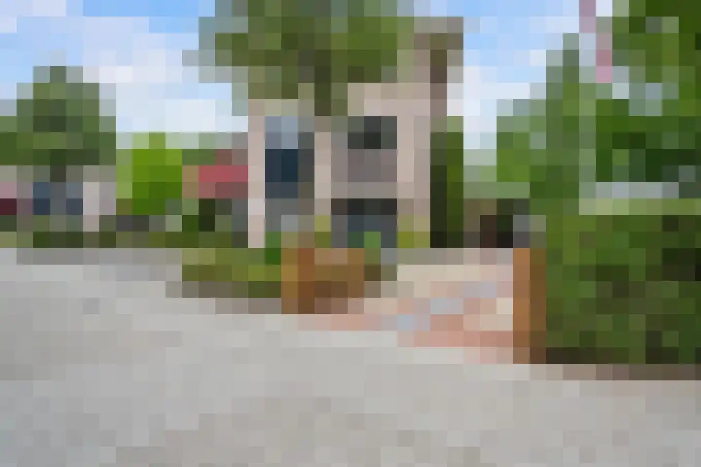 Amazone 199 Dordrecht thumbnail 7